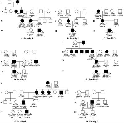 Evaluation of Growth Hormone Therapy in Seven Chinese Children With Familial Short Stature Caused by Novel ACAN Variants